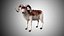 Rigged Low Poly Sheep Collection