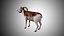 Rigged Low Poly Sheep Collection