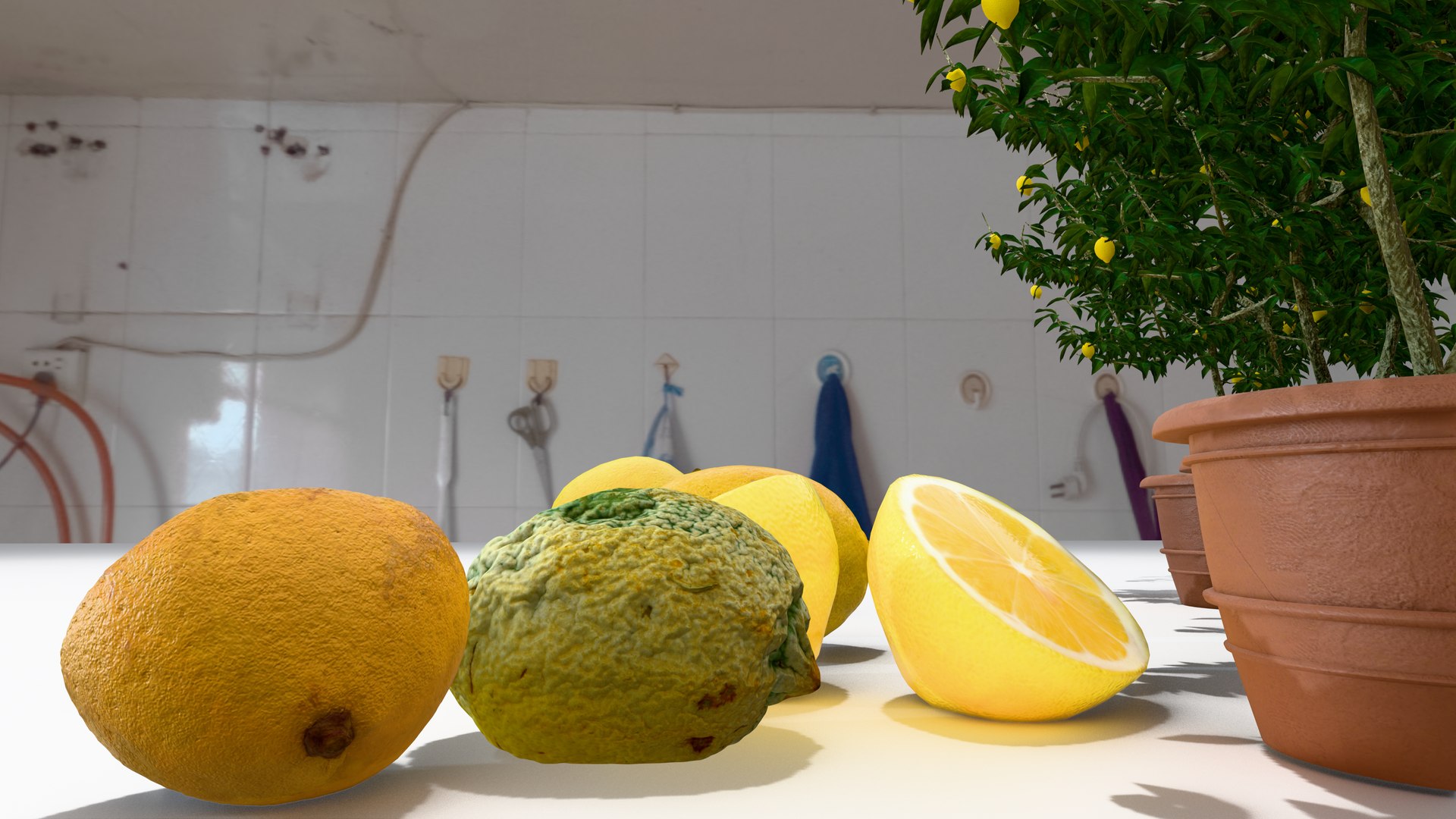 Lemon Plant and Fruit Pack High Resolution 3D Set 3D https://p.turbosquid.com/ts-thumb/hz/FZMY7b/Al/2/png/1747778311/1920x1080/fit_q87/d0377d8f300a57b2a9c0e8381a75e237ed033b95/2.jpg
