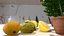Conjunto 3D de alta resolución de planta y fruta de limón