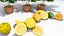 Conjunto 3D de alta resolución de planta y fruta de limón