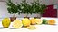 Conjunto 3D de alta resolución de planta y fruta de limón