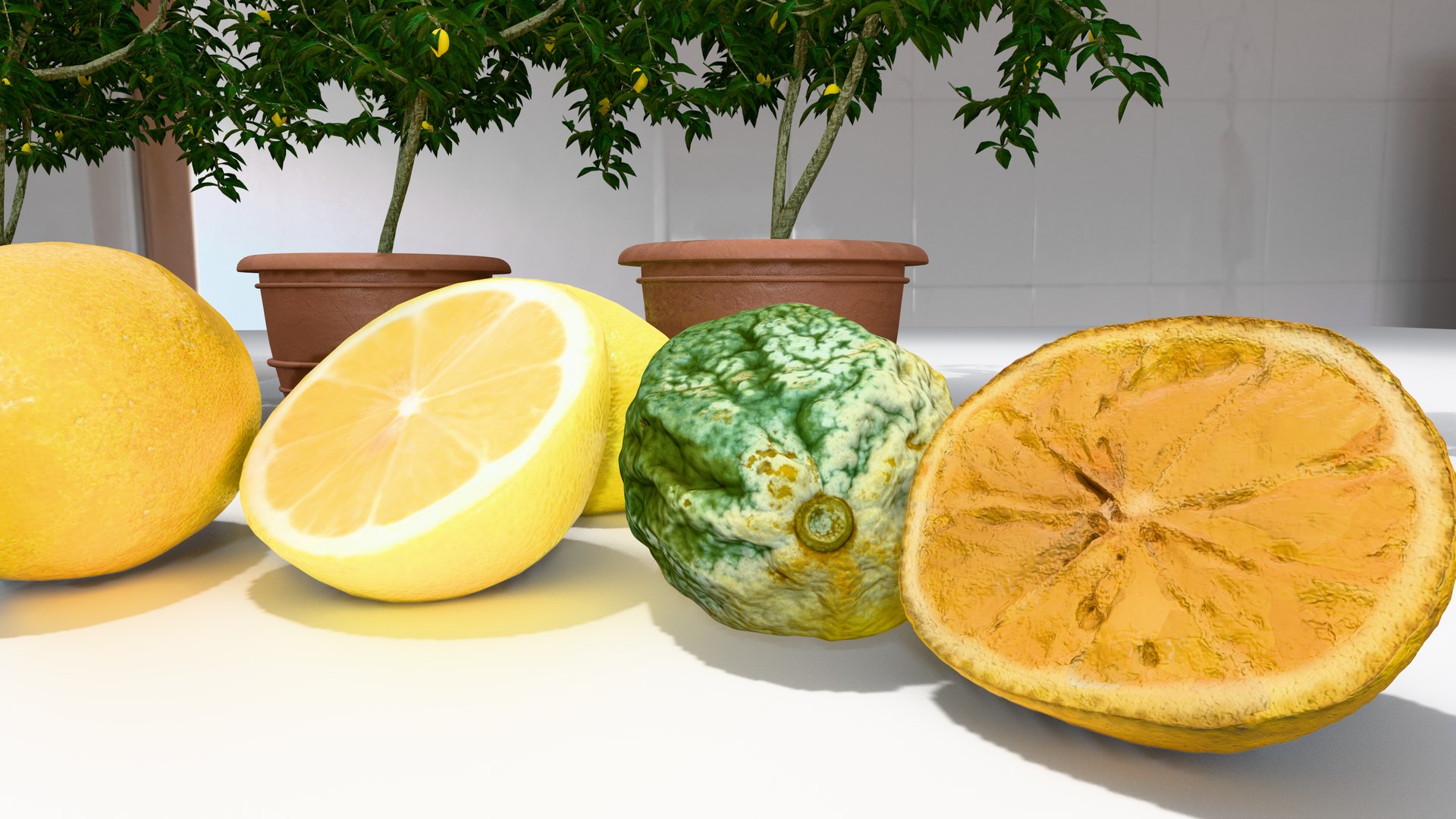 Lemon Plant and Fruit Pack High Resolution 3D Set 3D https://p.turbosquid.com/ts-thumb/hz/FZMY7b/vR/6/png/1747778326/1920x1080/fit_q87/a970fc38517d34f4a13287b09101ea108634f1c0/6.jpg