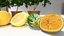 Conjunto 3D de alta resolución de planta y fruta de limón