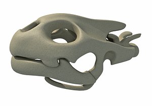 turtle skull skeleton 3D model