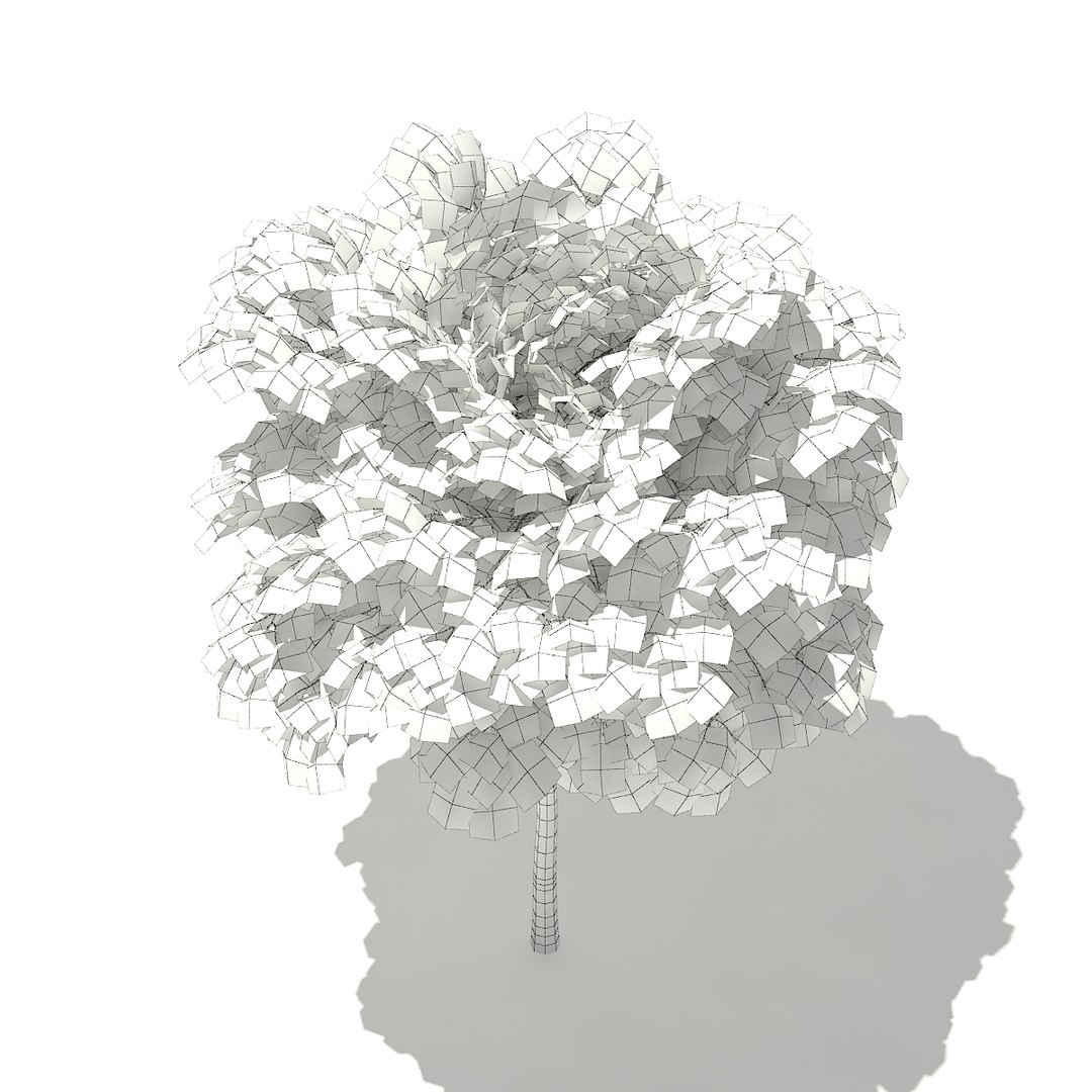 3D norway maple tree acer https://p.turbosquid.com/ts-thumb/hz/RaL0gH/exEB0DkQ/cgaxis_models_76_02cgrid/jpg/1499277818/1920x1080/fit_q87/a7e0597002d8ee346576e3c730edf90857aef0a5/cgaxis_models_76_02cgrid.jpg
