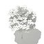 Arce de Noruega (Acer platanoides) 3.4m