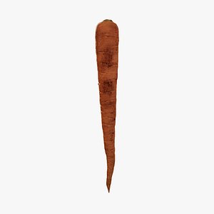 3D Anydrafts Daucus carota sativus 02