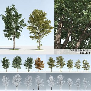 Three Season Trees 6 (+GrowFX)
