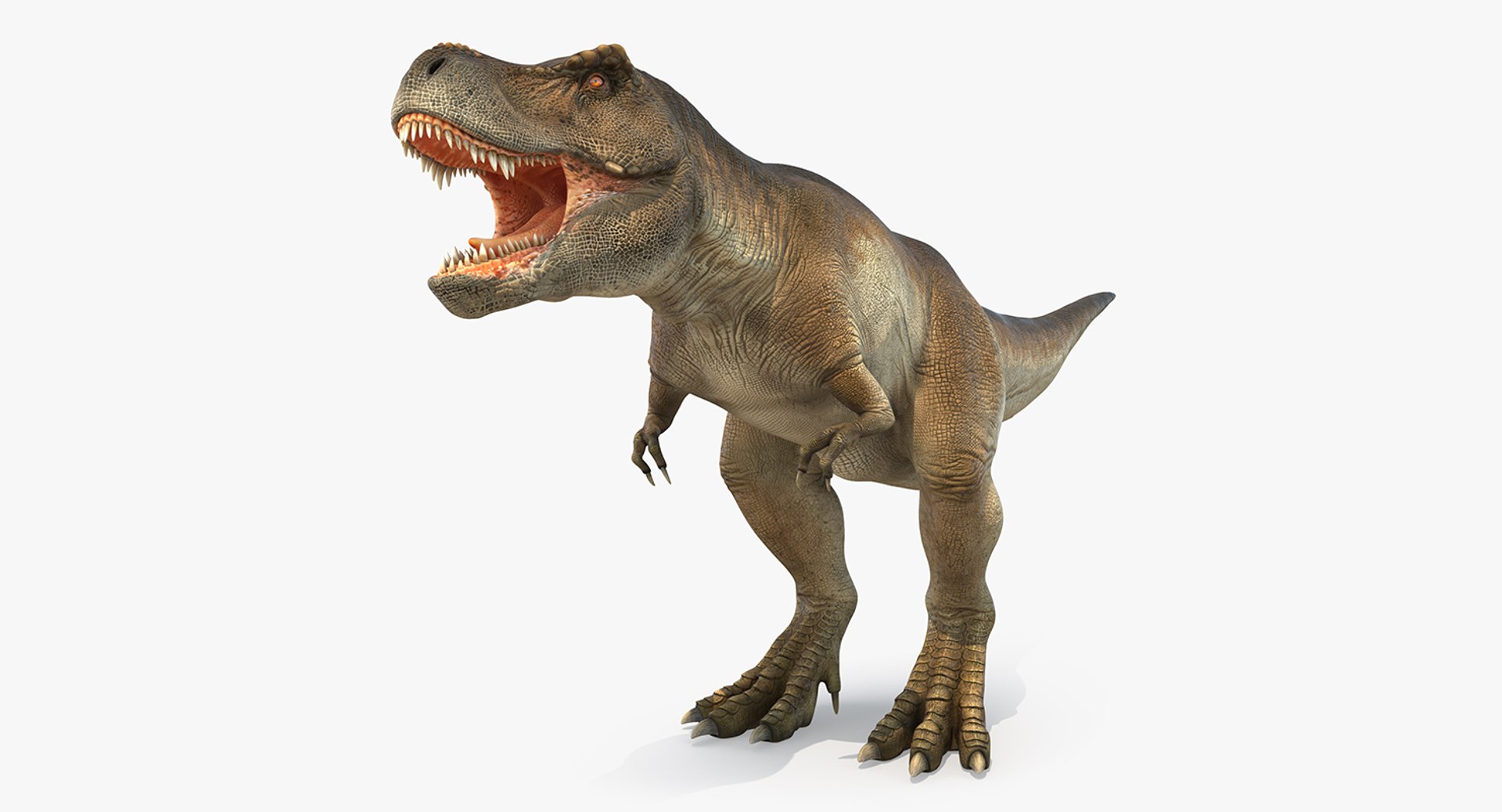 Tyrannosaurus Rex 3D model preview