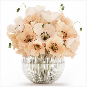 Beautiful Bouquet White Beige Wild Flowers Poppy 570 3D model