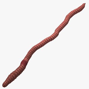 Earthworm Rigged and Animated