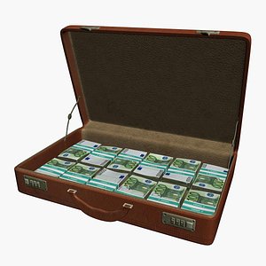 Briefcase with Euro