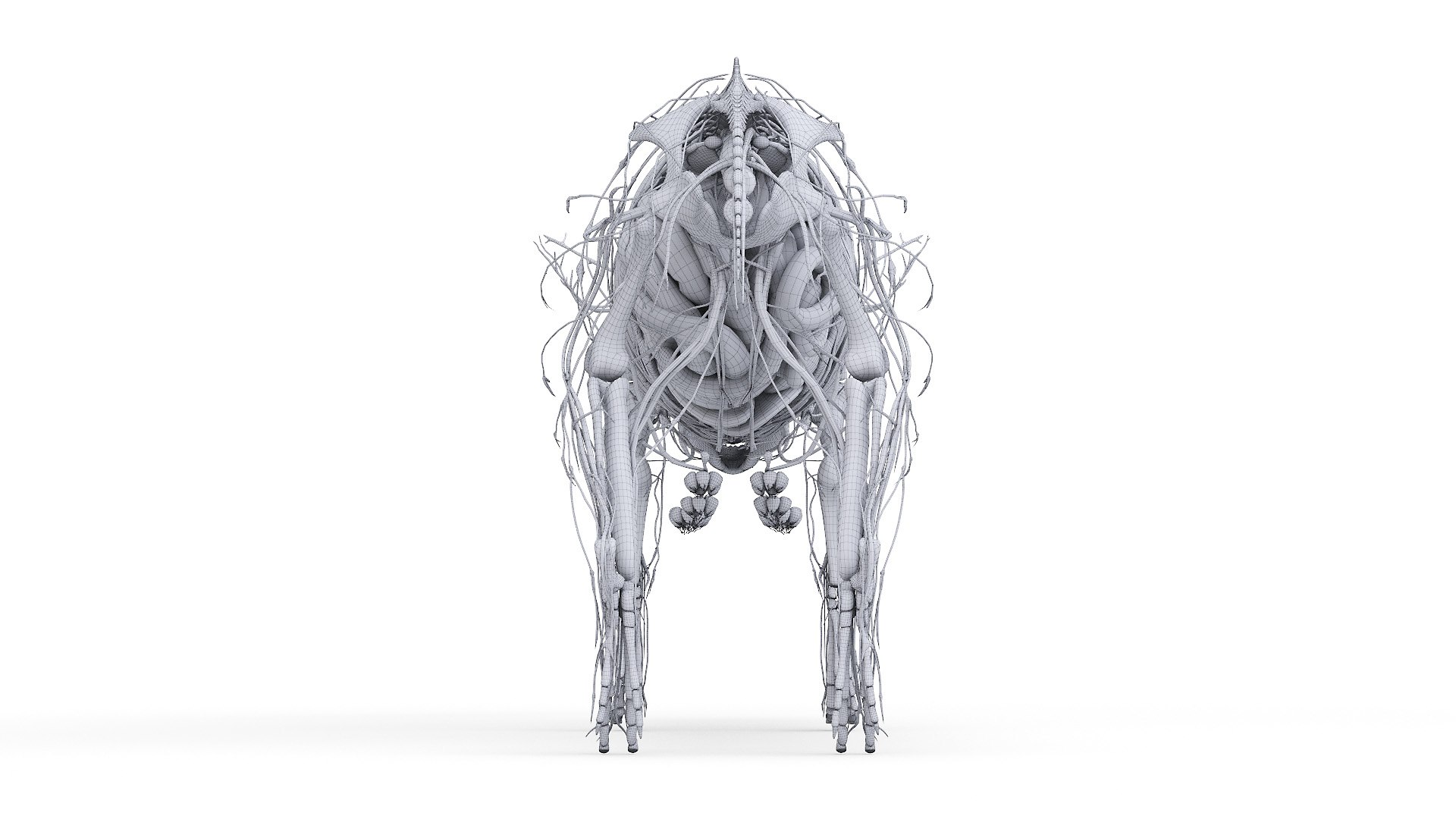 3D model Full Pig Anatomy Static https://p.turbosquid.com/ts-thumb/i0/9hYArd/LA/2021_pig_anatomy_wire_anatomy2f0005/jpg/1625066550/1920x1080/fit_q87/79a259cfc3a62d7e7ebdb9b685d8d024b05cb455/2021_pig_anatomy_wire_anatomy2f0005.jpg