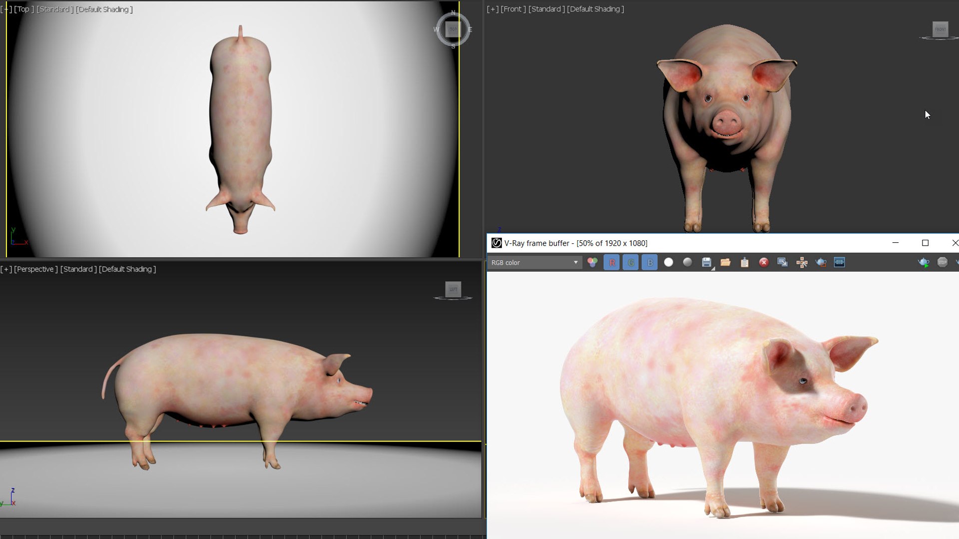 3D model Full Pig Anatomy Static https://p.turbosquid.com/ts-thumb/i0/9hYArd/PW/viewport/jpg/1625082964/1920x1080/fit_q87/5ca639882db106f8627993a394b5a1cae1fe3c99/viewport.jpg