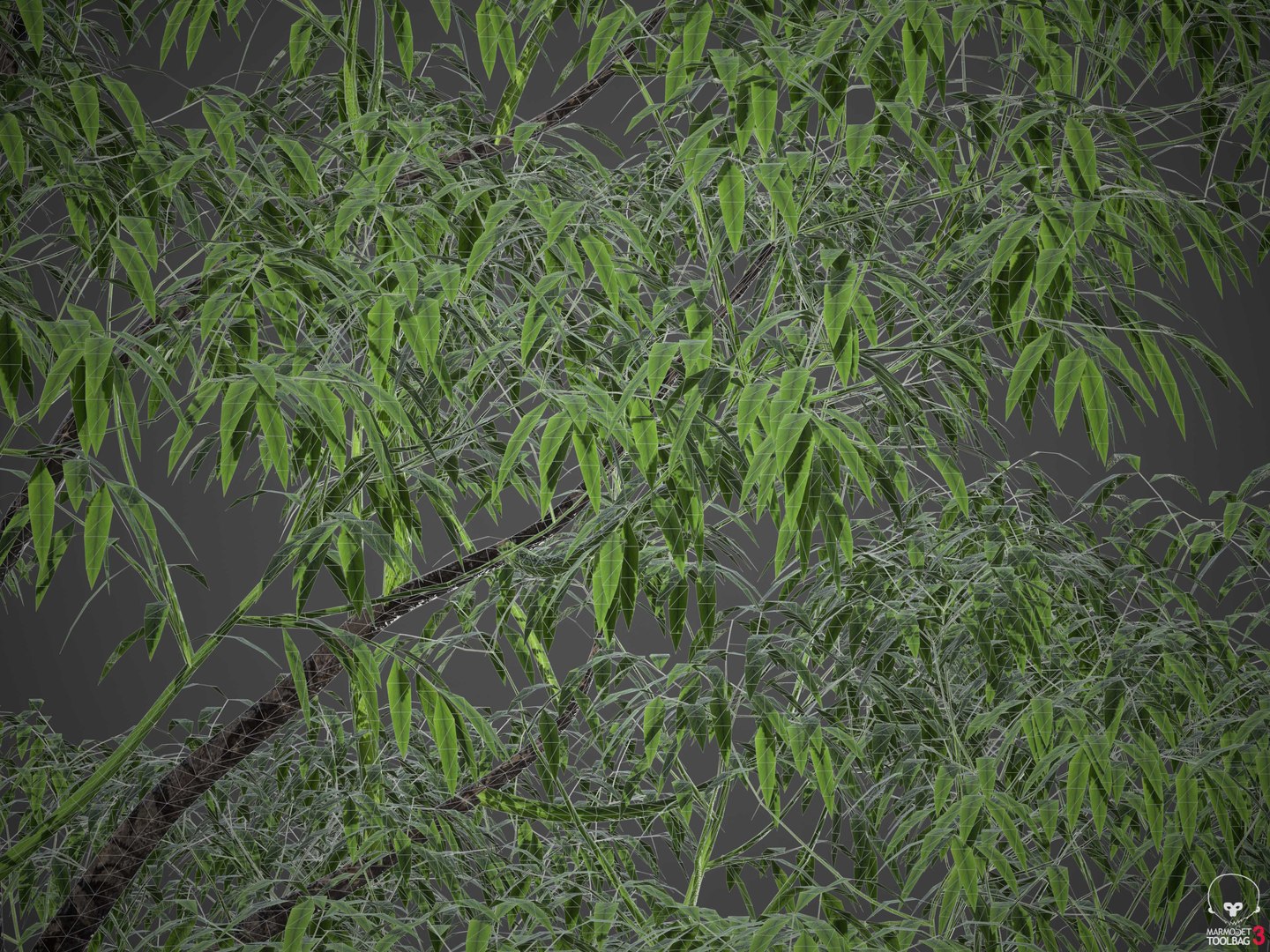XfrogPlants Spotted Gum - Corymbia Maculata 3D https://p.turbosquid.com/ts-thumb/i0/INJXVH/vu/wireframe1/jpg/1620425295/1920x1080/fit_q87/ae63d5bf3d9b914a2f4e974e8477cd141ad93455/wireframe1.jpg