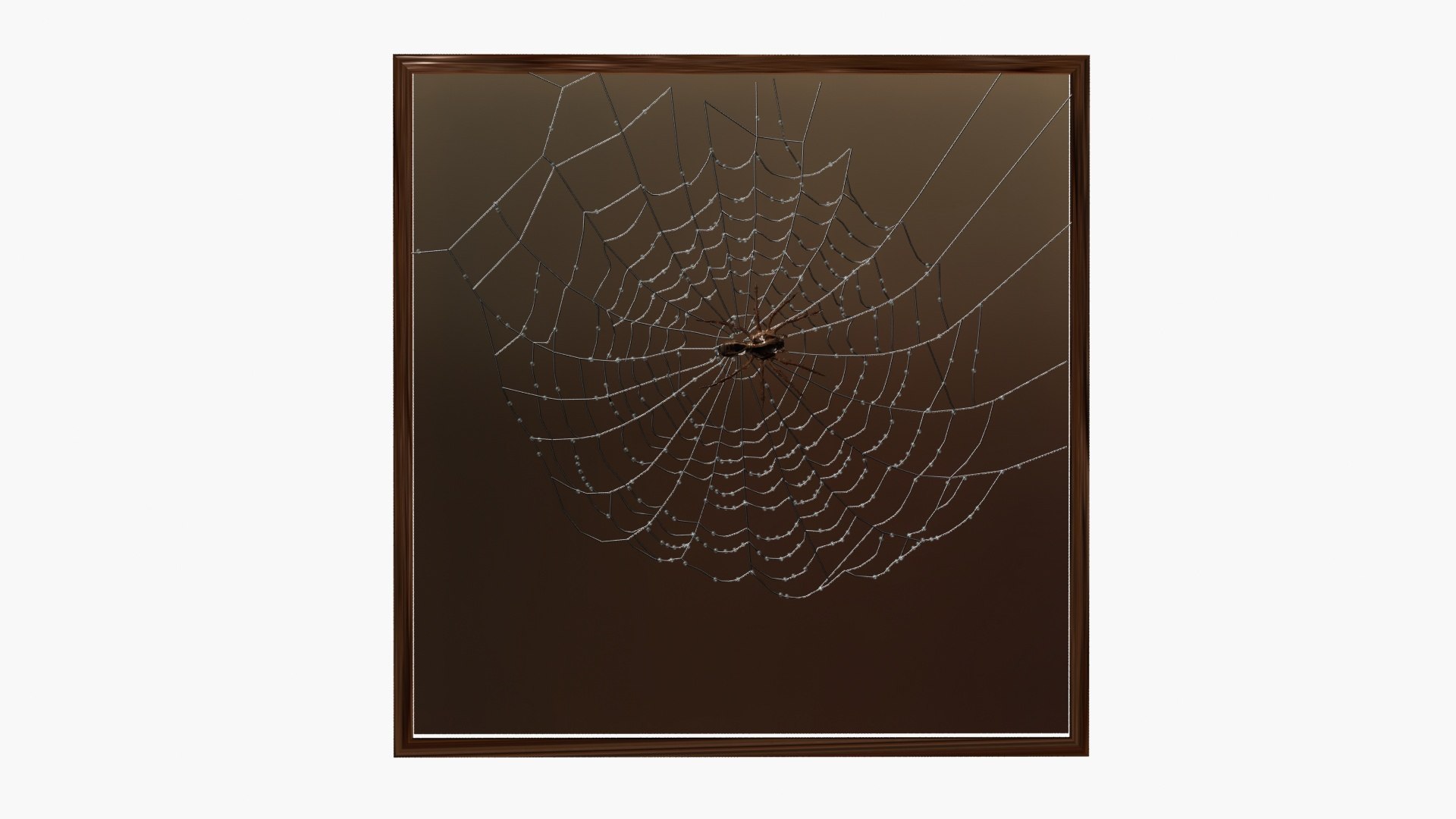 3D Spiderweb model https://p.turbosquid.com/ts-thumb/i0/Osz4cC/0i/ps2/jpg/1789043653/1920x1080/fit_q87/ad6743ec9f4e4fd2cf08ab3c81023b1a8f5e8690/ps2.jpg