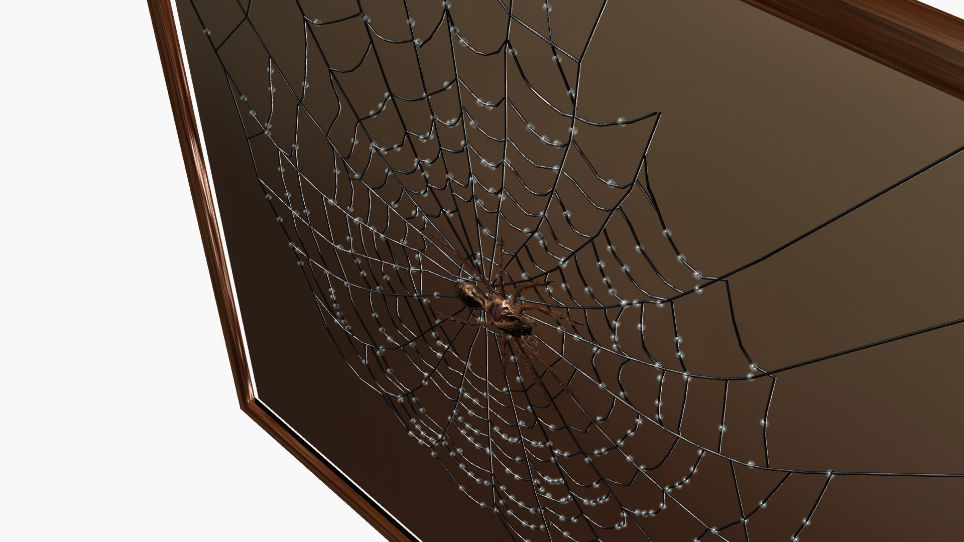 3D Spiderweb model https://p.turbosquid.com/ts-thumb/i0/Osz4cC/3Z/ps4/jpg/1789043683/1920x1080/fit_q87/2b0066e28f781d63bd01f7e88da6067d0edc675d/ps4.jpg
