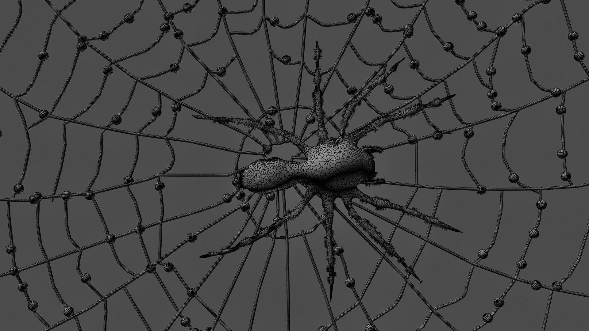 3D Spiderweb model https://p.turbosquid.com/ts-thumb/i0/Osz4cC/65/wireframe1/jpg/1789043711/1920x1080/fit_q87/75e5a70e295391870fd1845002b79c811816d7d7/wireframe1.jpg