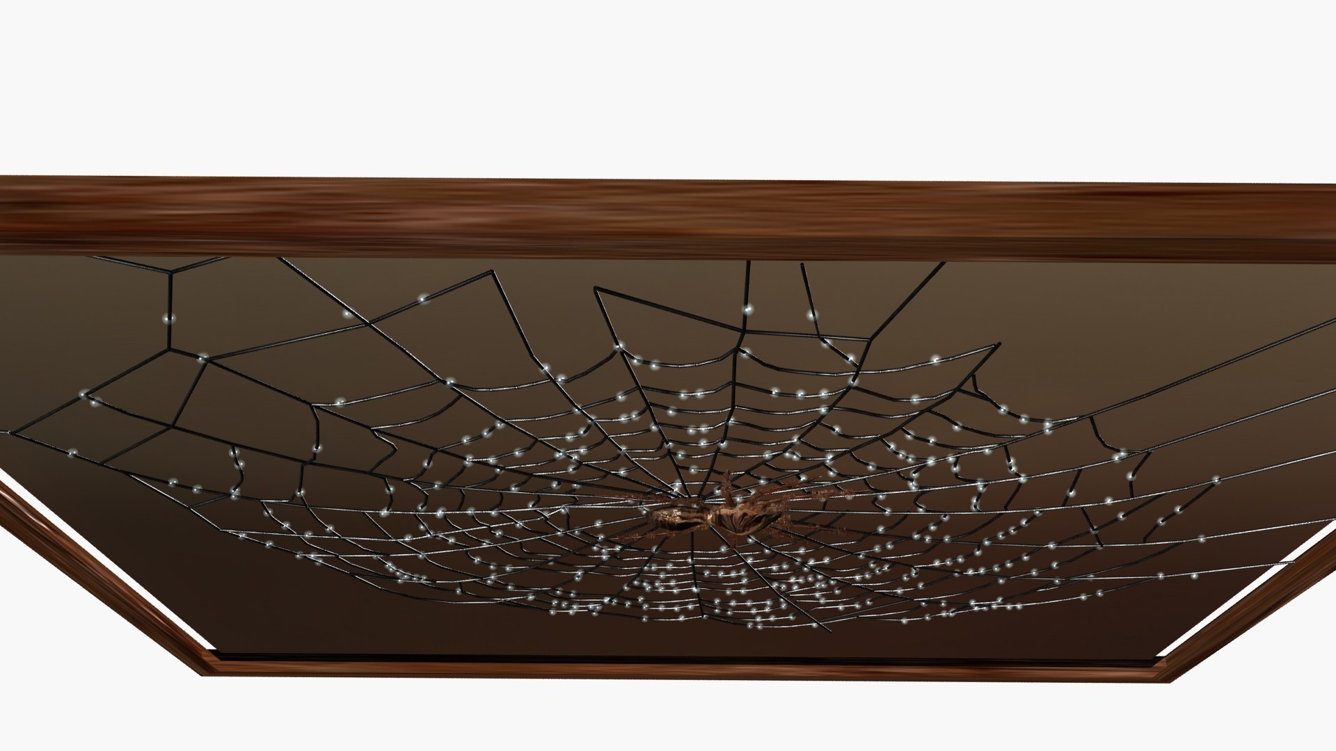 3D Spiderweb model https://p.turbosquid.com/ts-thumb/i0/Osz4cC/IK/ps5/jpg/1789043690/1920x1080/fit_q87/3894ee78e09369a90b74392c542375a06edc997f/ps5.jpg
