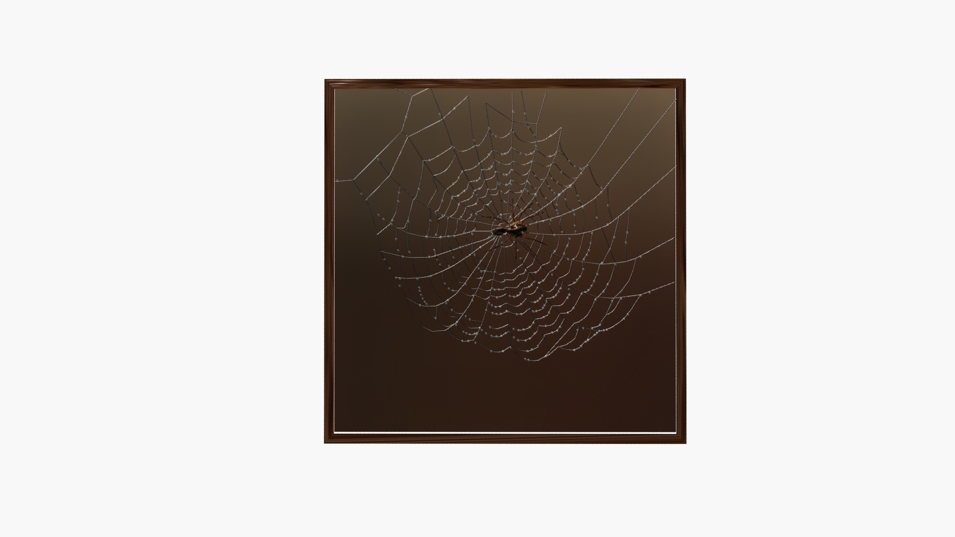 3D Spiderweb model https://p.turbosquid.com/ts-thumb/i0/Osz4cC/T4/web/jpg/1789043726/1920x1080/turn_fit_q99/0c60eb5b830747ad5b3a2d444269efa84c3a4d1d/web-1.jpg
