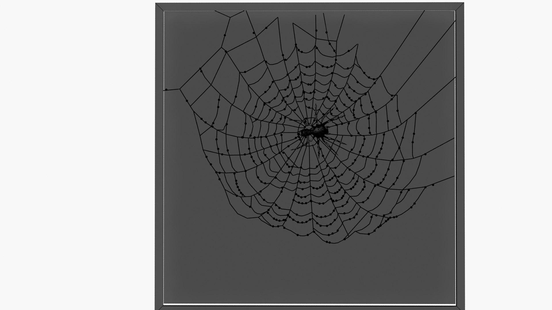 3D Spiderweb model https://p.turbosquid.com/ts-thumb/i0/Osz4cC/XE/wireframe/jpg/1789043702/1920x1080/fit_q87/e2d283a165de08281424f0ee676f193cb6e48cb0/wireframe.jpg