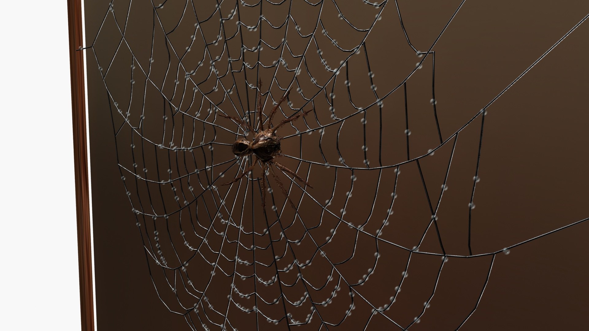 3D Spiderweb model https://p.turbosquid.com/ts-thumb/i0/Osz4cC/p7/ps3/jpg/1789043665/1920x1080/fit_q87/d9e601ff1f08c6522e942a8d9905d1565a8bc2e4/ps3.jpg