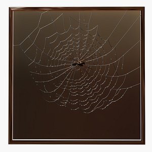 Spiderweb