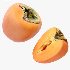 Persimmon Fruits model