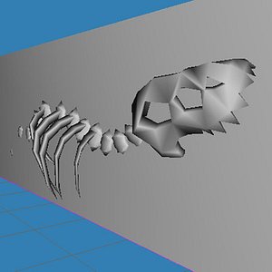 3d dinosaur skeleton