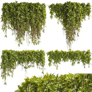 3D Collection plant vol 425 - bush - ivy - outdoor - 3dmodel - Assorted - 3dsmax - cinema 4d