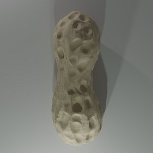 3D Peanut