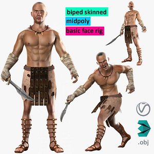 Warrior Hero Medieval Human Male Character