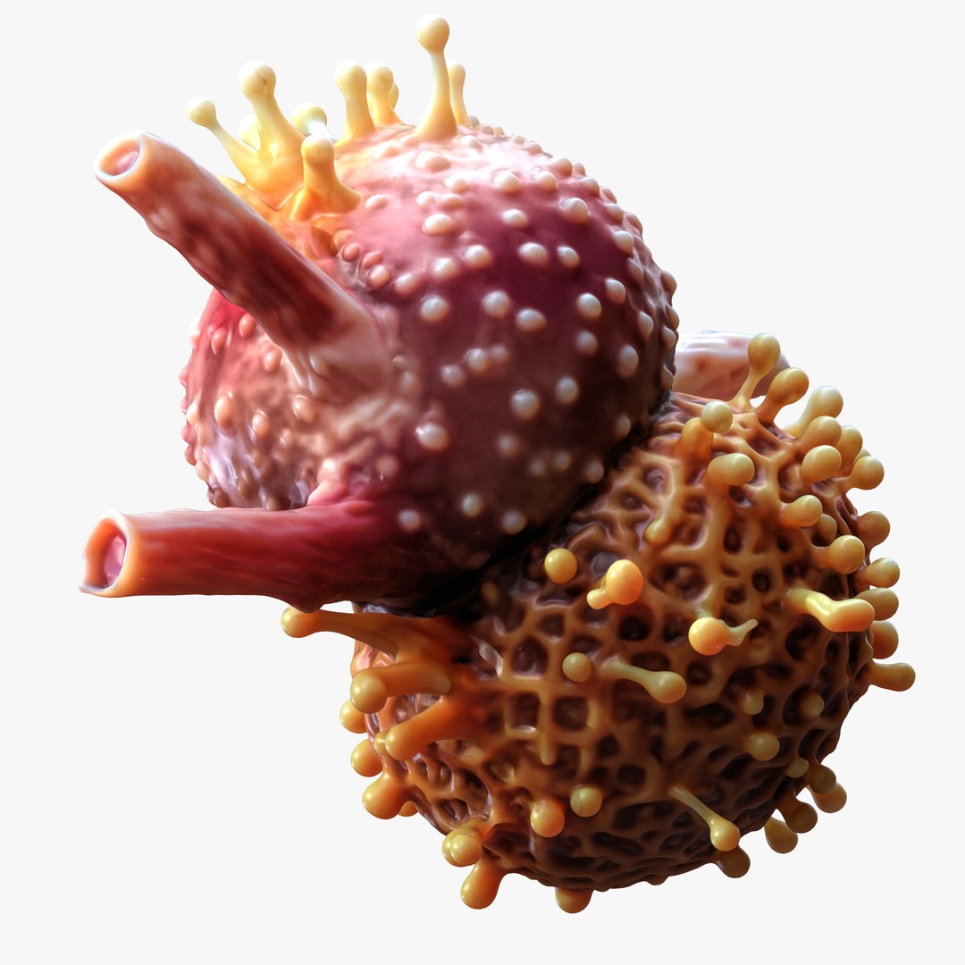 Cancer Cell Tumor Model - TurboSquid 2403268