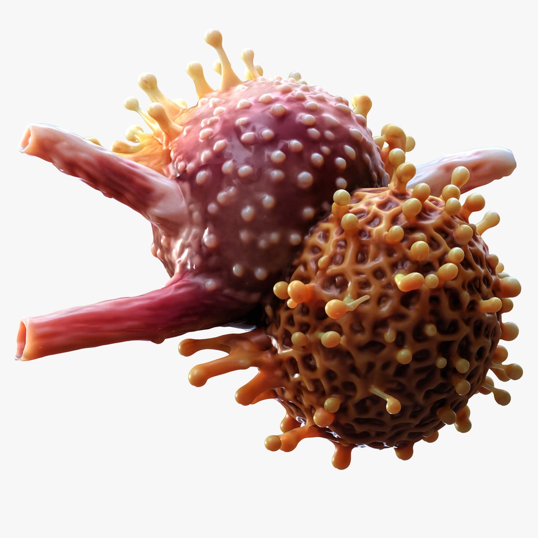 Cancer Cell Tumor Model - TurboSquid 2403268