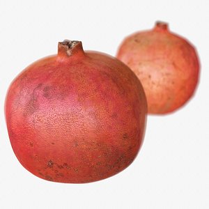 max pomegranate scanned polys