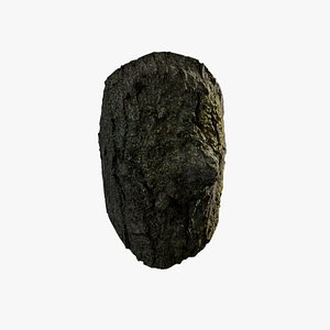 Anydrafts Acer tataricum Burl 05 3D model