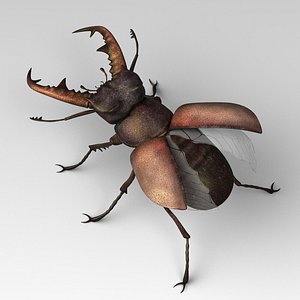 stag beetle 3d 3ds