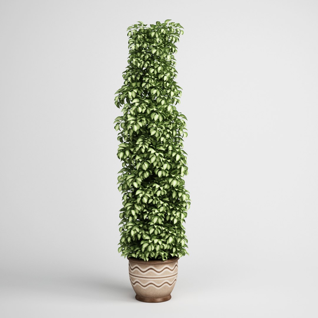  https://p.turbosquid.com/ts-thumb/i1/OeCPhd/GfDZS1LZ/17copy/jpg/1292932919/1920x1080/fit_q87/b565aae782084b48e9a2b88bc0e0d28609555957/17copy.jpg