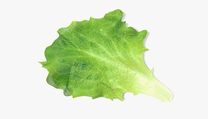 lettuce 3d 3ds