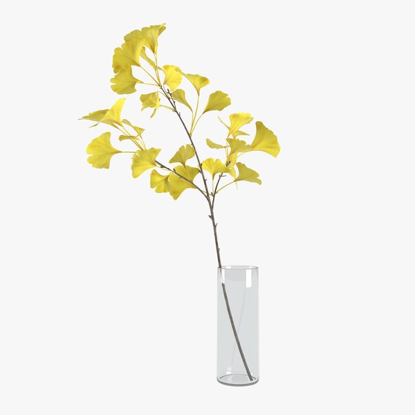 yellow ginkgo 3D model