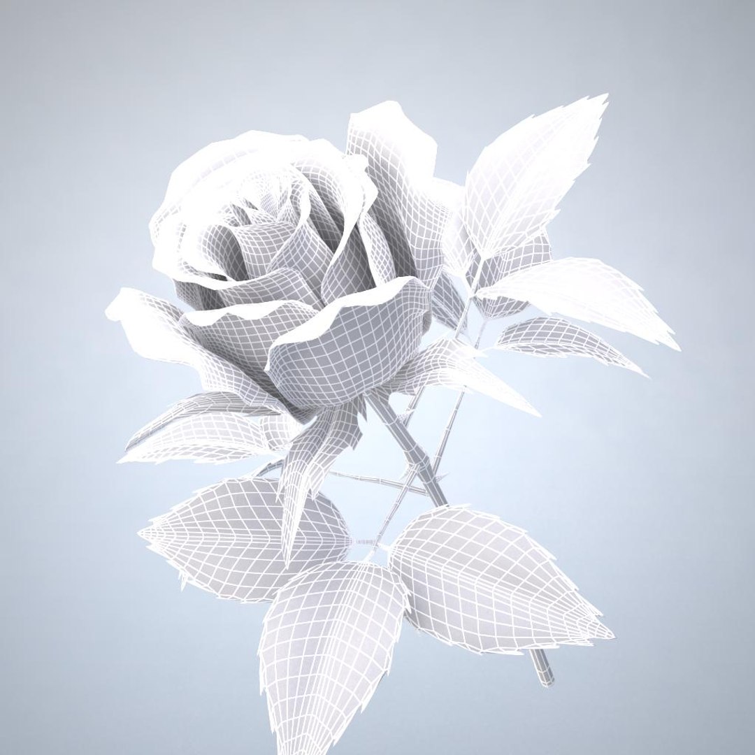 3d Rose 5