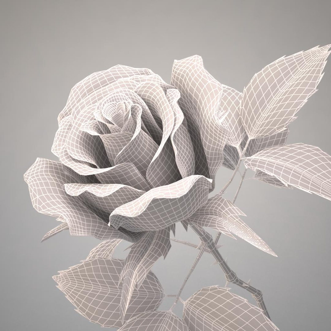 3d rose 5