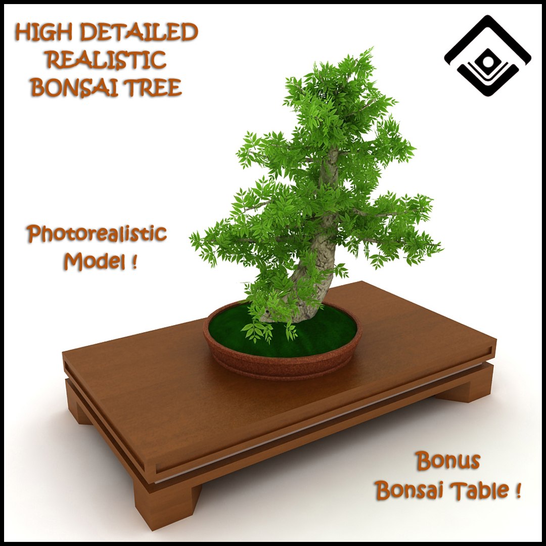 Free 3ds Model Potted Bonsai Tree Photorealistic