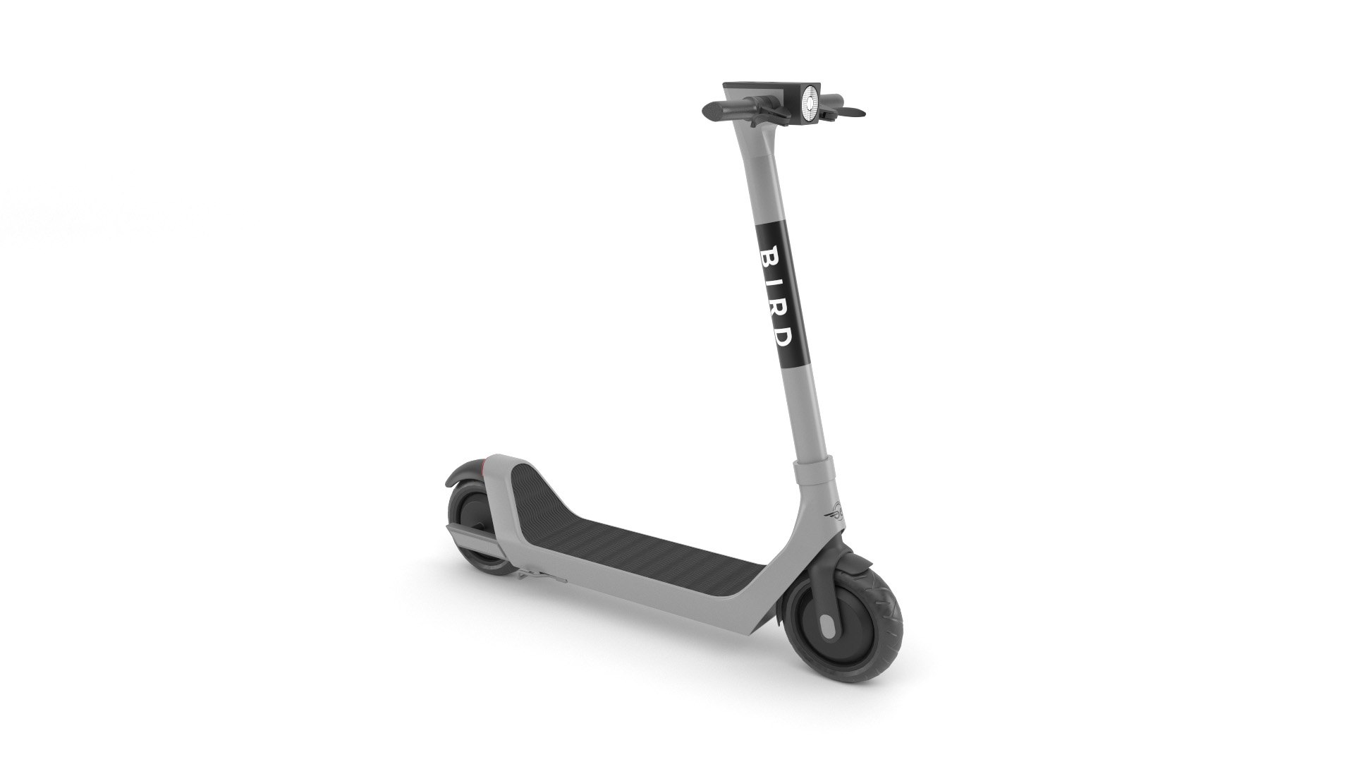 Bird Scooter Model TurboSquid 1960082