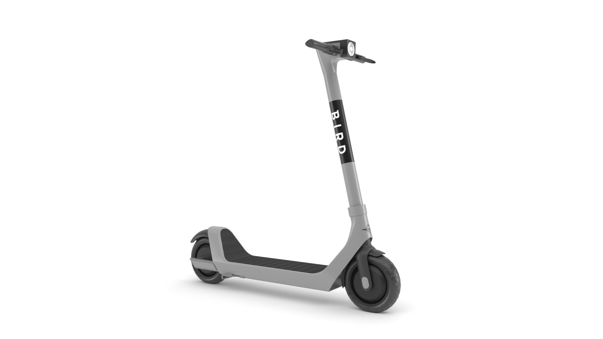 Bird Scooter Model TurboSquid 1960082