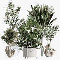 AV Indoor Plants Set 487 Lady Palm and Olive Tree and Snake Sansevieria