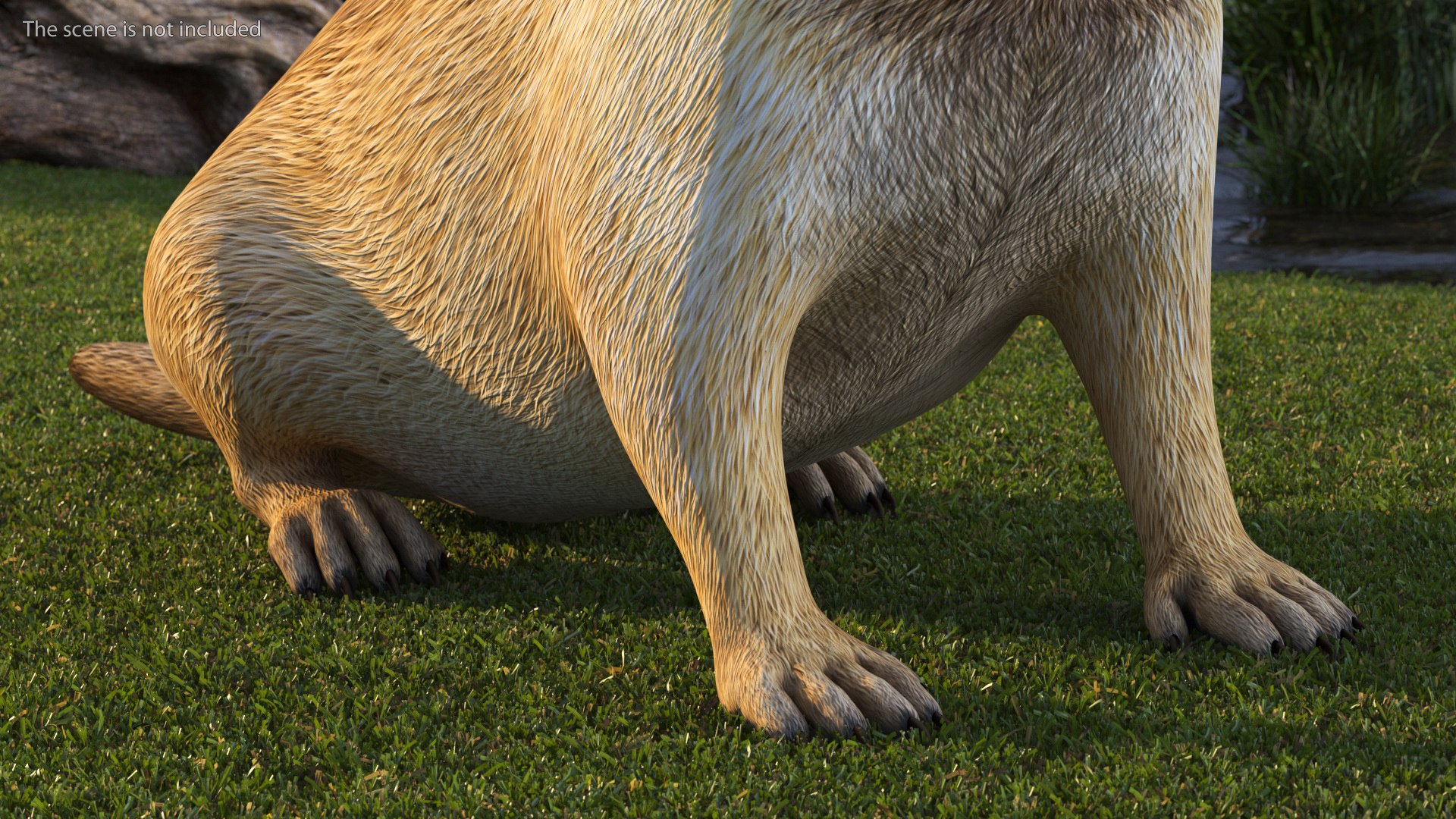 Sitting Ground Squirrel Model - TurboSquid 1964222
