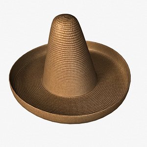 Large Brim Hat 3D Model - TurboSquid 1740924