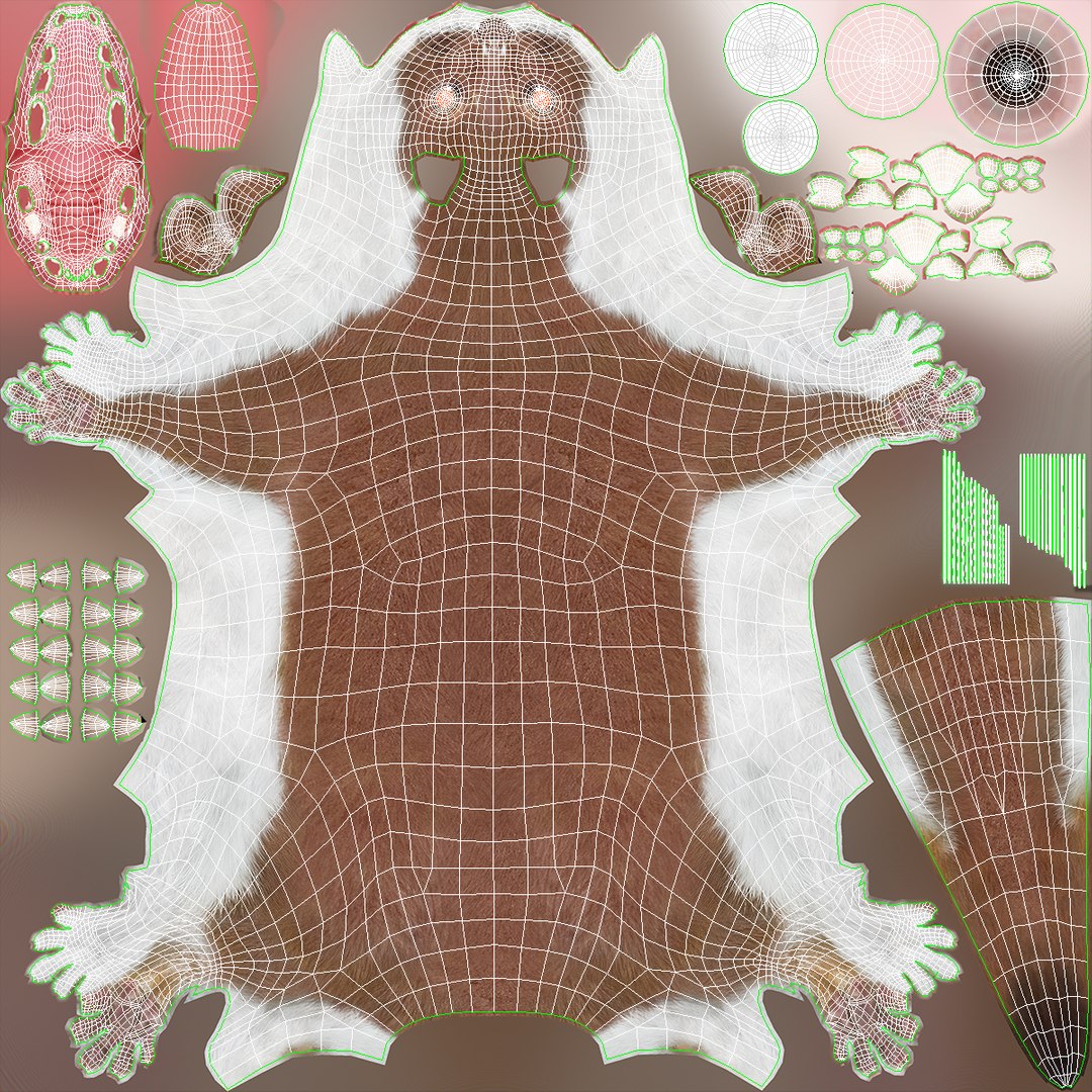 3D Stoat Brown Fur Model - TurboSquid 2208847